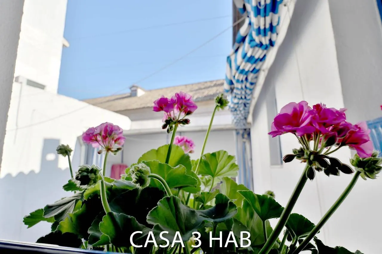 Casas Caballerizas Mezquita 1 Y 3 Hab Cordova Appartamento
